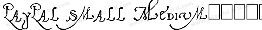 PayPal Small Medium字体转换